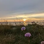 6 Person Holiday Home In Hemmet