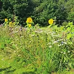 Holiday home 6 Person Holiday Home In Hemmet *